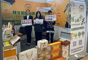 佐嘉粒米脂小米攜手2019一鄉一品國際商品博覽會，致力打造中國小米品牌商品批發貿易