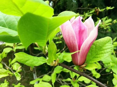 生生不息，意由心生 解讀生意之本與批發貿易之道